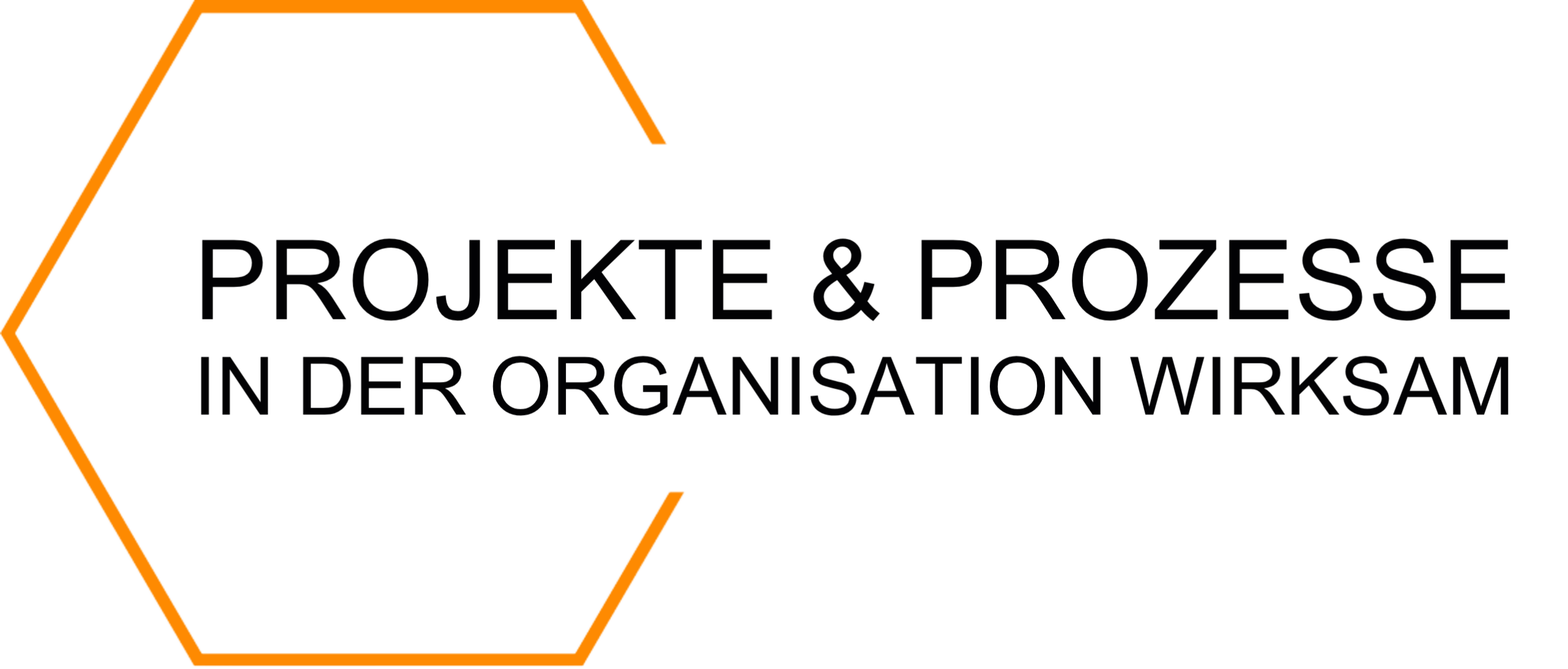 Projekte & Prozesse. In der Organisation wirksam.