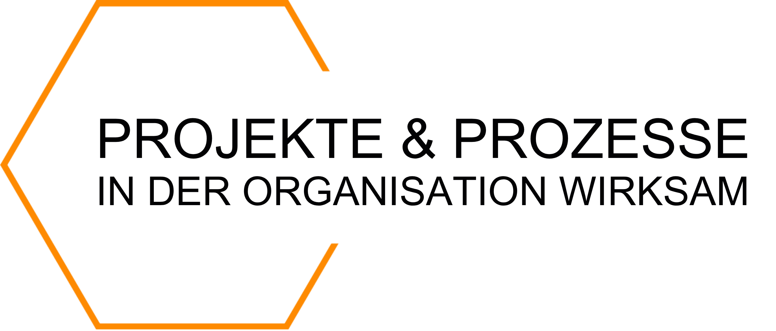 PROJEKTE & PROZESSE IN DER ORGANISATION WIRKSAM