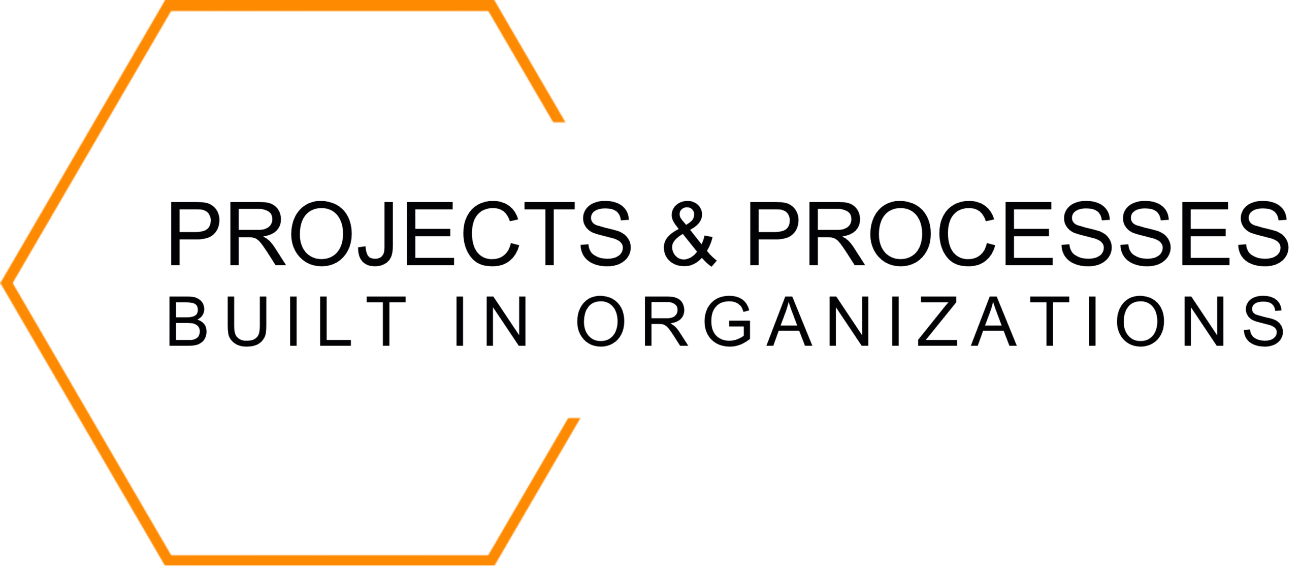 PROJECTS & PROCESSES BUILT IN ORGANIZATIONS